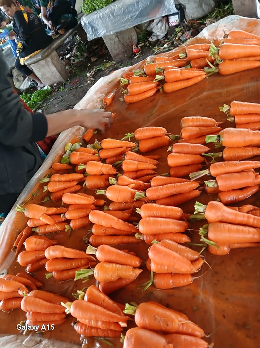 Carrots