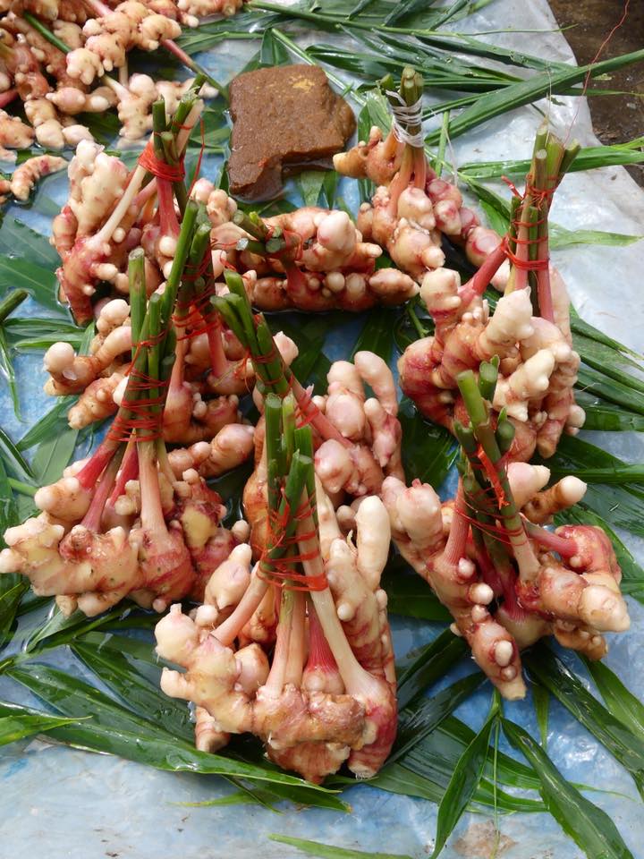 Ginger