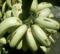 Banana Raw (Soti Membelg)