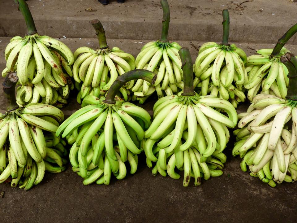Bananas (Ken-Nga)