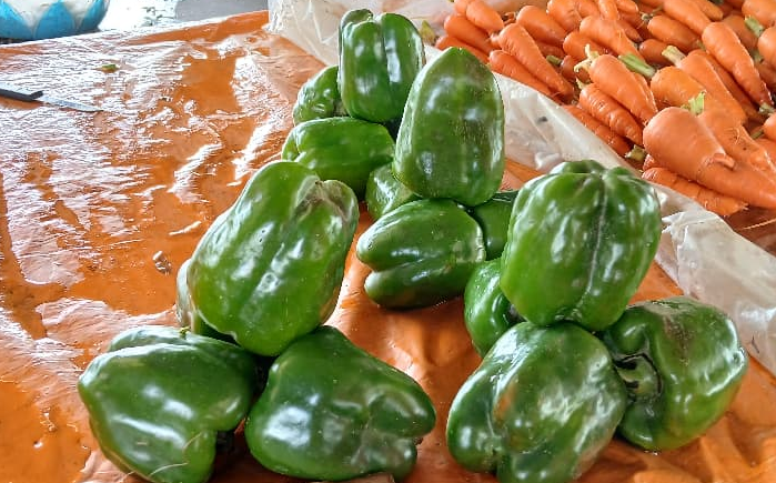 Capsicum Variety