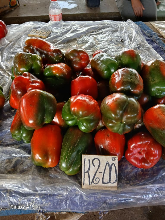 Capsicum Variety