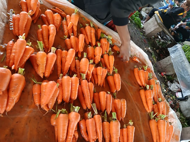 Carrots