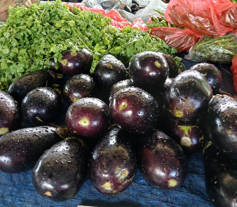 Eggplant