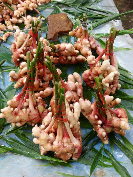 Ginger