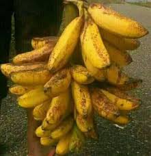 Ripe Banana (Ruknoumb)