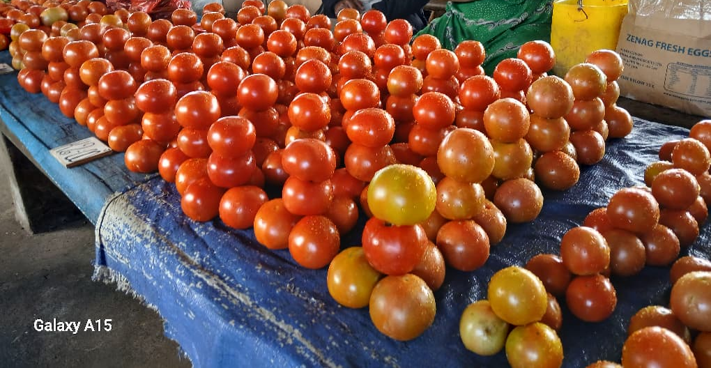 Organic Tomatoes